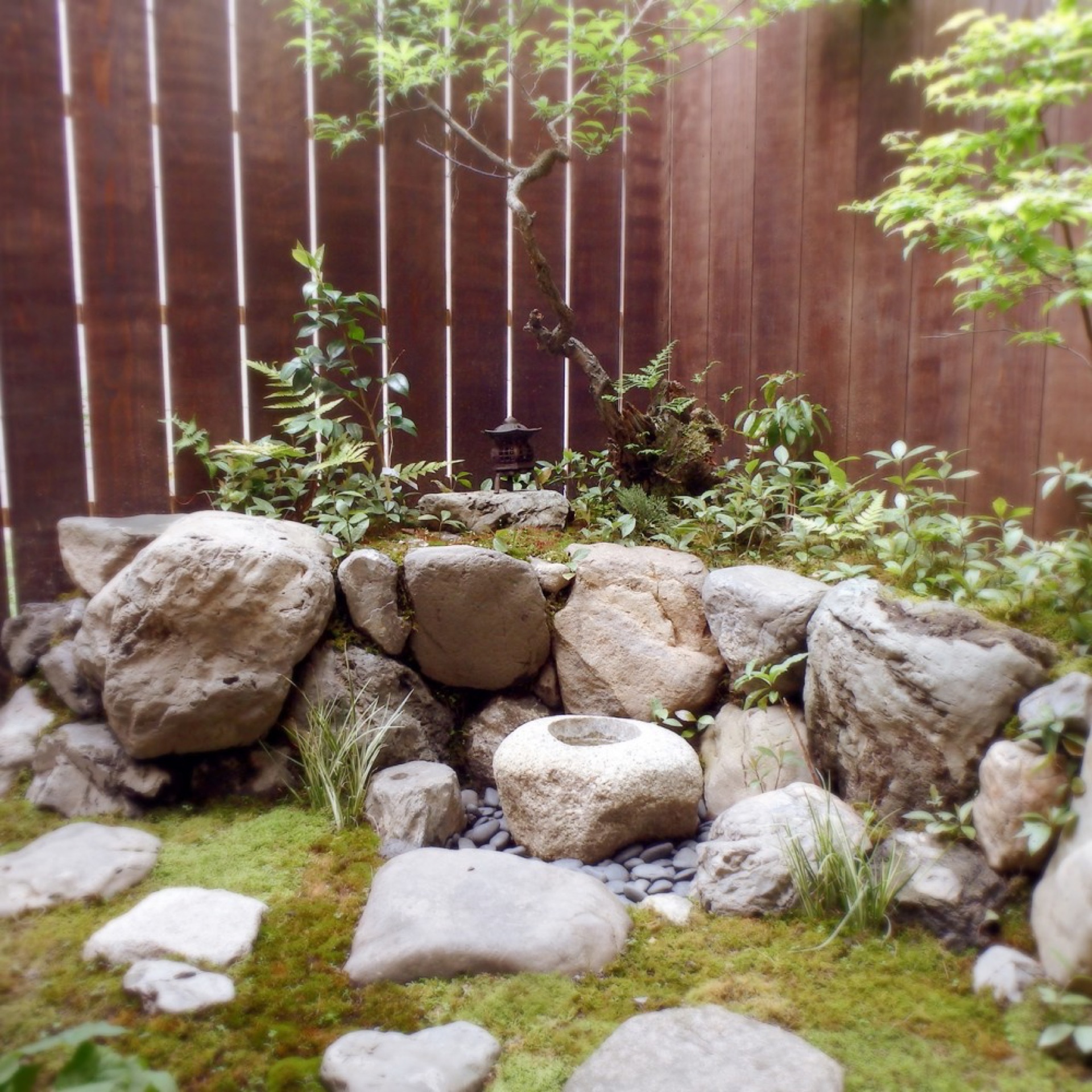 お部屋